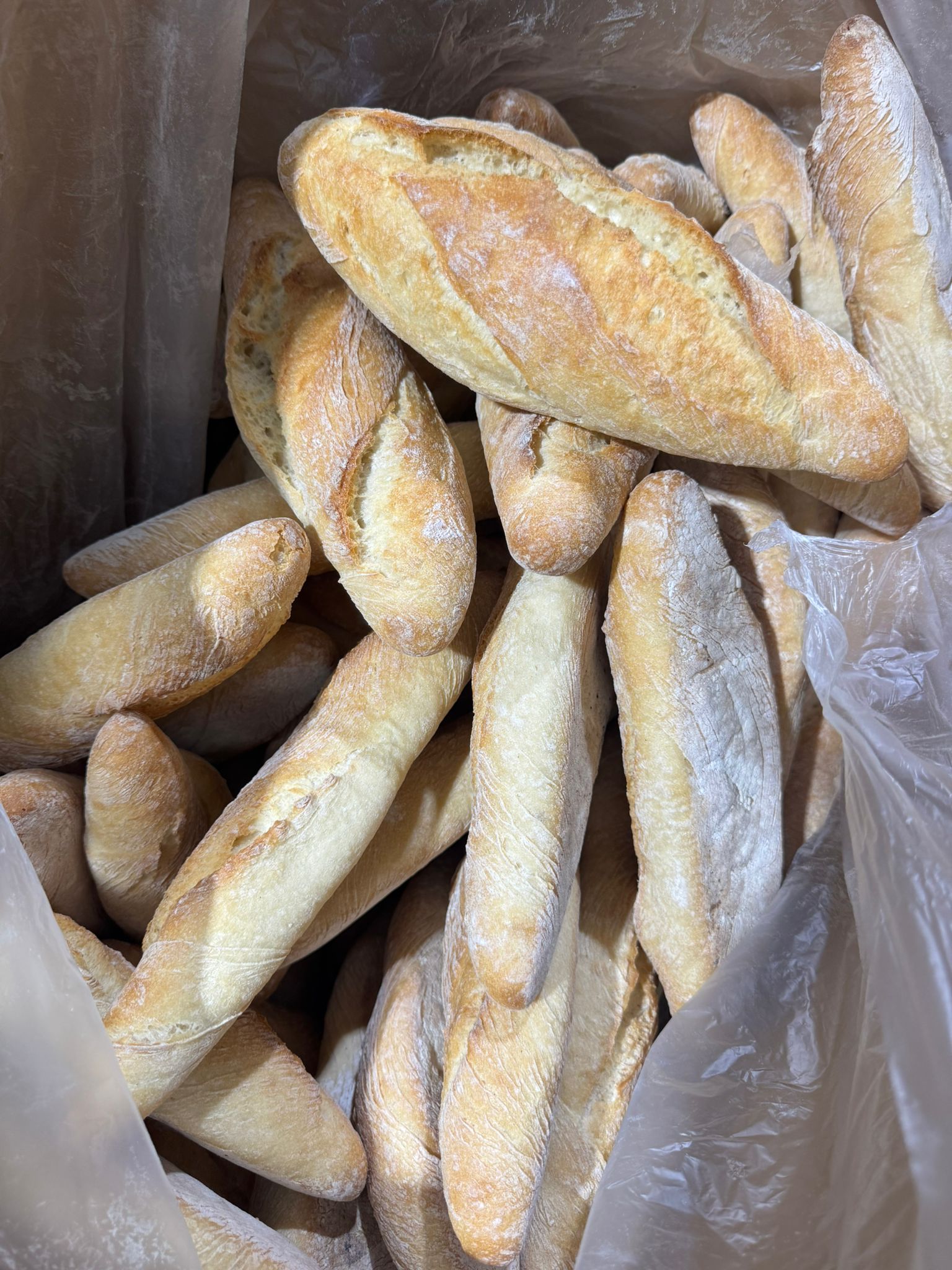 Pan BOCATA RIQUIÑO